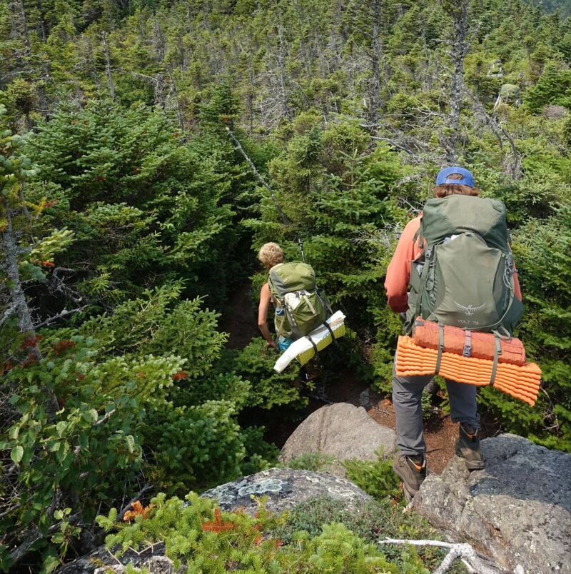 Two people are hiking in a lush, green forest. The person in the foreground is wearing a blue hat and a large backpack with an orange sleeping pad attached. The other person is further down the trail and also has a backpack. They are surrounded by dense trees and foliage, suggesting a remote and natural environment.